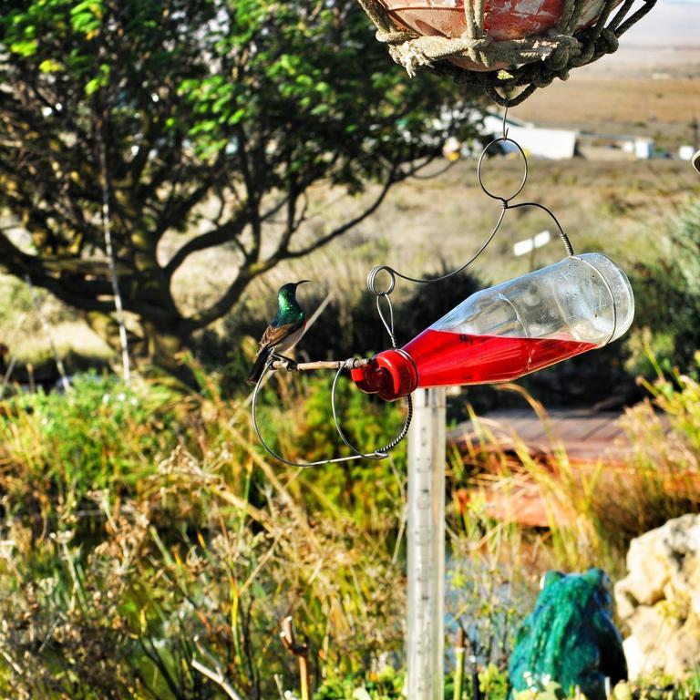 Farr Out Guest House Paternoster Dış mekan fotoğraf