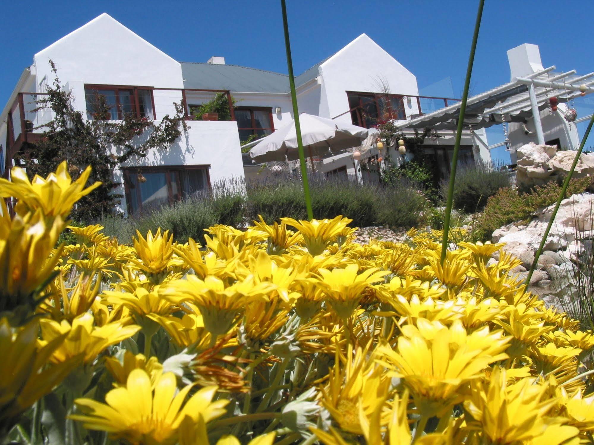 Farr Out Guest House Paternoster Dış mekan fotoğraf